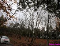 Essais Peugeot 208 R2