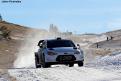 i20wrc (10)
