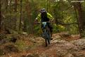 vtt (49)