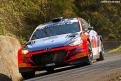 breen (48)