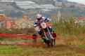 taggia (93)