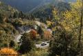 IMG 4584