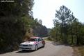 galant (28)