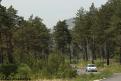 IMG 4926