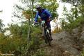 vtt (4)