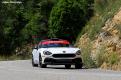 fiat pellier (11)
