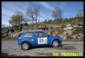 IMG 9951