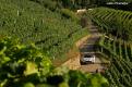 rally alba (91)