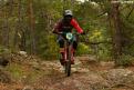 vtt (87)