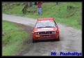 IMG 4764