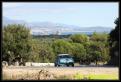 IMG 7176