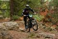 vtt (80)
