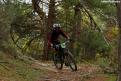 vtt (58)