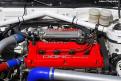 galant (26)
