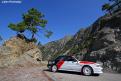 galant (19)