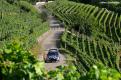rally alba (7)