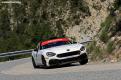 fiat pellier (40)