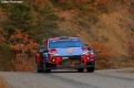 sordo (28)