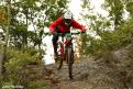 vtt (46)