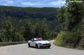 fiat pellier (49)