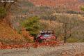 sordo (5)