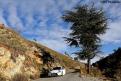 sordo (26)