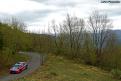 breen (59)