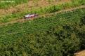 rally alba (73)