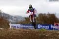 taggia (101)