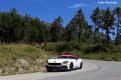 fiat pellier (53)