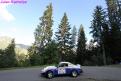 1 (78)