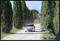 IMG 4278