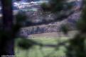 neuville (43)