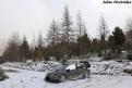 yariswrc  17