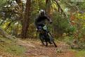 vtt (33)
