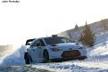 i20wrc (12)