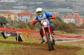 taggia (88)