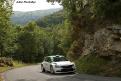fabiaR5 Meeke (41)