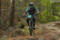 vtt (62)
