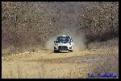 mini IMG 2171