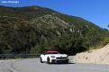 fiat pellier (51)