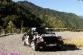 mini 1 (34)