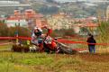 taggia (85)