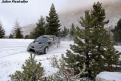 yariswrc  4
