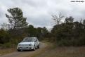 ponteves (51)