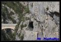 IMG 6310