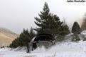 yariswrc  28