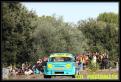 IMG 7955