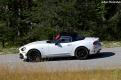 fiat pellier (64)