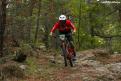 vtt (45)